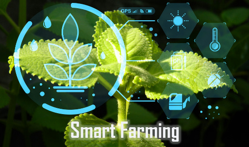 Best Smart Sensors for Farming: Revolutionizing Agriculture with Technology