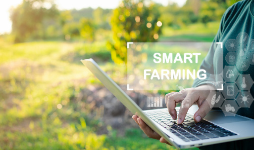 Embracing the Future: Exploring the Concept of Smart Farming